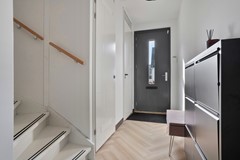Dotterbloem104616ASBergenopZoom-05.jpg