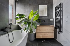 Dotterbloem104616ASBergenopZoom-31.jpg