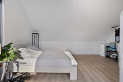 Dotterbloem104616ASBergenopZoom-37.jpg