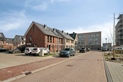 Dotterbloem104616ASBergenopZoom-49.jpg
