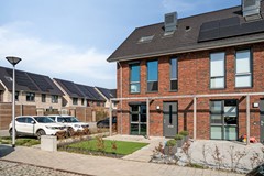 Dotterbloem104616ASBergenopZoom-03.jpg
