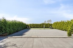 Boompjesdijk84671prDinteloord-39.jpg