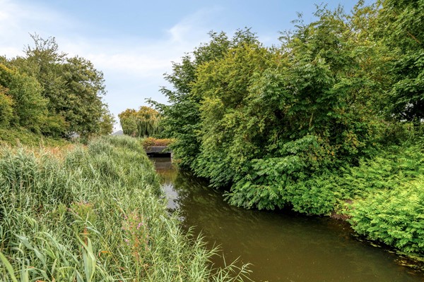 Medium property photo - Dijkplan 3, 4651 GT Steenbergen