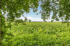 Exloe¨rveen 19 Exloe¨rveen-51.jpg