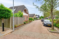 Gerbera 3 Dirksland - 07 - Funda.jpg