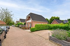 Gerbera 3 Dirksland - 09 - Funda.jpg