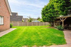 Gerbera 3 Dirksland - 30 - Funda.jpg