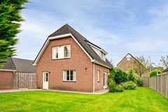 Gerbera 3 Dirksland - 33 - Funda.jpg