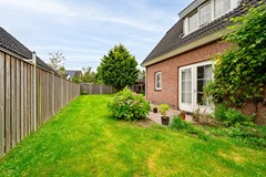 Gerbera 3 Dirksland - 36 - Funda.jpg