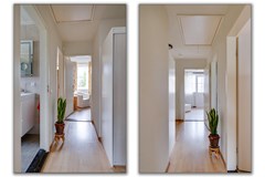 Gerbera 3 Dirksland - 39 - Funda.jpg