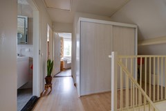 Gerbera 3 Dirksland - 40 - Funda.jpg