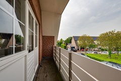 Gerbera 3 Dirksland - 44 - Funda.jpg