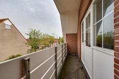 Gerbera 3 Dirksland - 45 - Funda.jpg