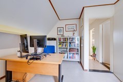 Gerbera 3 Dirksland - 49 - Funda.jpg