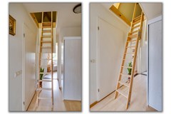 Gerbera 3 Dirksland - 53 - Funda.jpg