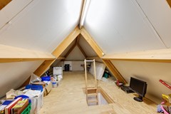 Gerbera 3 Dirksland - 54 - Funda.jpg