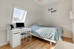 vanScheltingalaan109291ECKollumNL-30.jpg