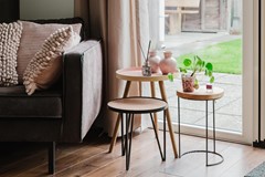 20250417_Lijsterbes7Heino_MBF_48 (Groot).jpg