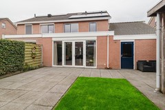 20250417_Lijsterbes7Heino_MBF_40 (Groot).jpg