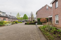 20250417_Lijsterbes7Heino_MBF_44 (Groot).jpg