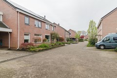 20250417_Lijsterbes7Heino_MBF_45 (Groot).jpg