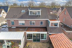 Foto Wilgeroosje 36 Heino 56.jpg