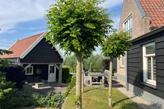 IMG_1067_formaat wijzigen.JPG