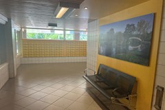 IMG_1623_formaat wijzigen.JPG