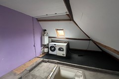 IMG_8665_formaat wijzigen.JPG