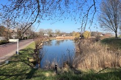 IMG_9020_formaat wijzigen.JPG