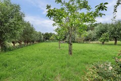 083_SCHELLUINEN_4209_AZ_Nolweg_30.JPG