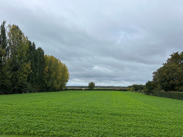 Medium property photo - Heerlerweg, 6367 AD Voerendaal