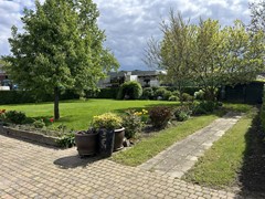 IMG_4177.jpg