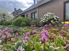 IMG_4161.jpg