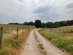 IMG_2476.jpg