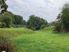 IMG_2479.jpg