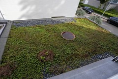 foto (47).jpg