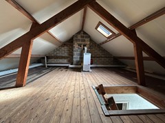 IMG_6884.jpeg