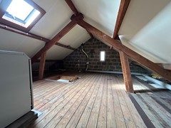 IMG_6885.jpeg