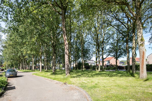 Medium property photo - Elzenhof 3, 9471 SP Zuidlaren