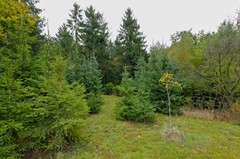 Groningerstraat 12 Vries-46.jpg