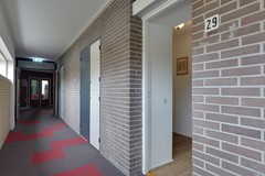 Dingspillaan 29 Zuidlaren-22.jpg