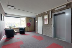 Dingspillaan 29 Zuidlaren-24.jpg