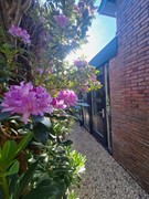 Tuin (3).jpg