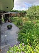 Tuin (6).jpg