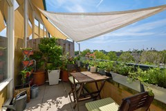 Sonja Heniepad 4-16.jpg