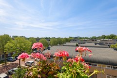 Sonja Heniepad 4-18.jpg