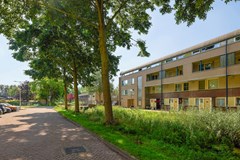 Sonja Heniepad 4-02.jpg