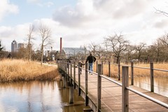 36 Simon Stevinstraat 3 H-38.jpg