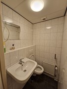 WhatsApp Image 2024-12-30 at 11.34.58 (7).jpeg